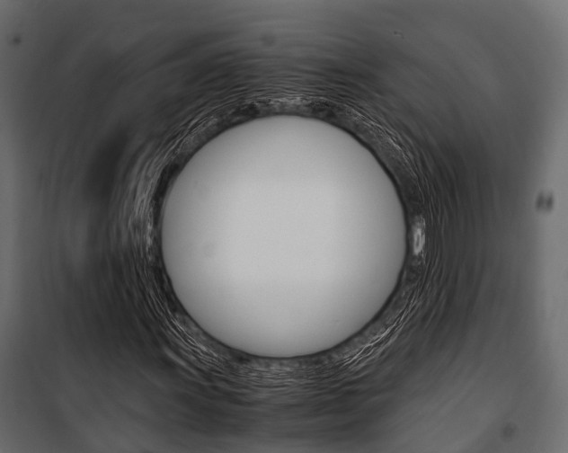 X0000100931011200806241132