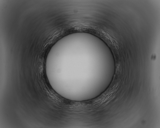 X0000100931012200806241132