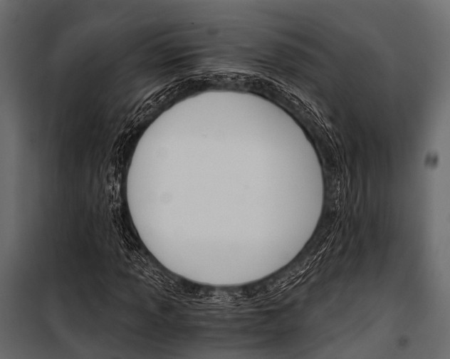 X0000100931013200806241132