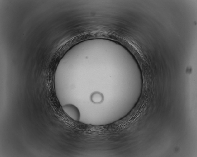 X0000100931015200806241132