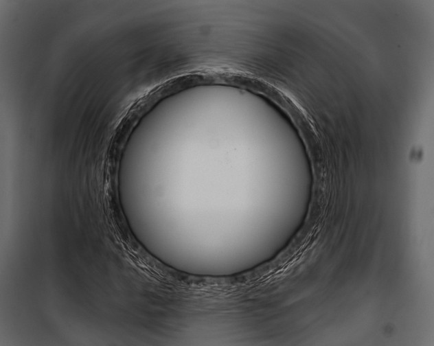 X0000100931016200806241132