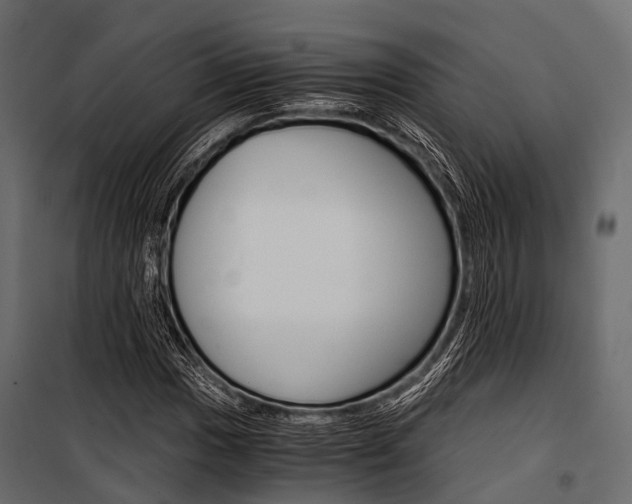 X0000100931017200806241132