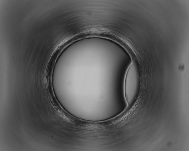 X0000100931018200806241132