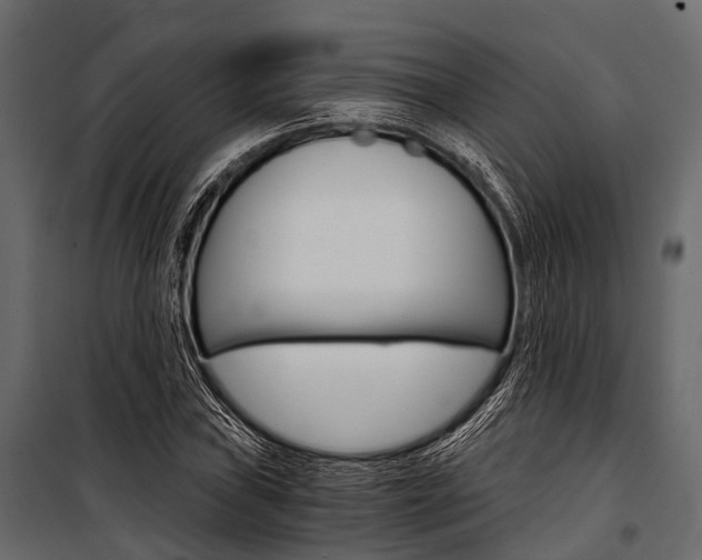 X0000100931019200806241132