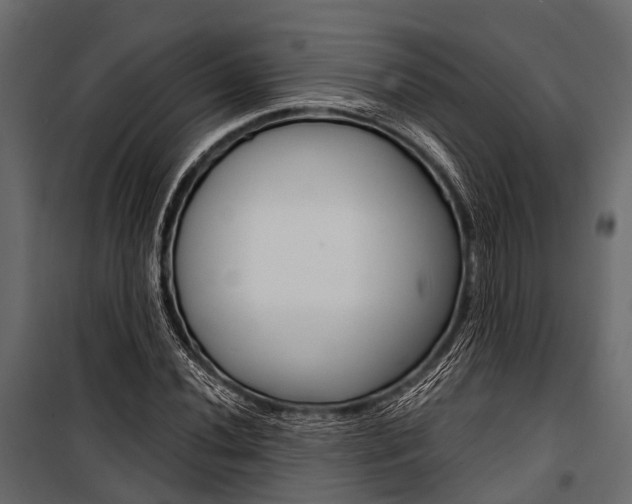 X0000100931020200806241132