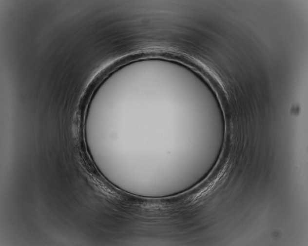 X0000100931021200806241132