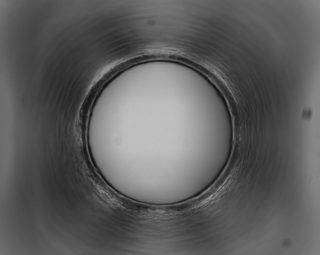 X0000100931022200806241132