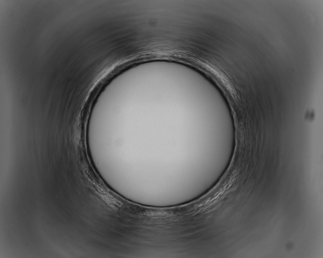 X0000100931023200806241132