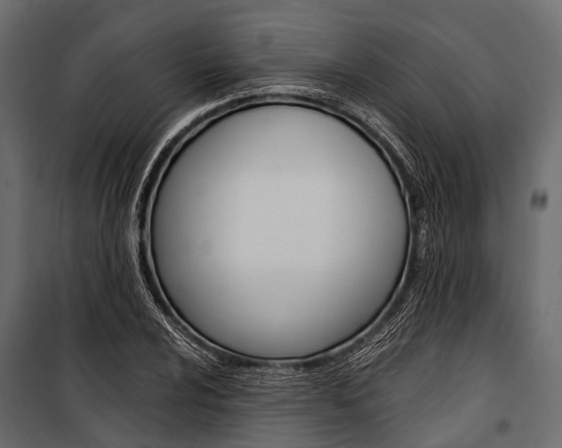 X0000100931024200806241132