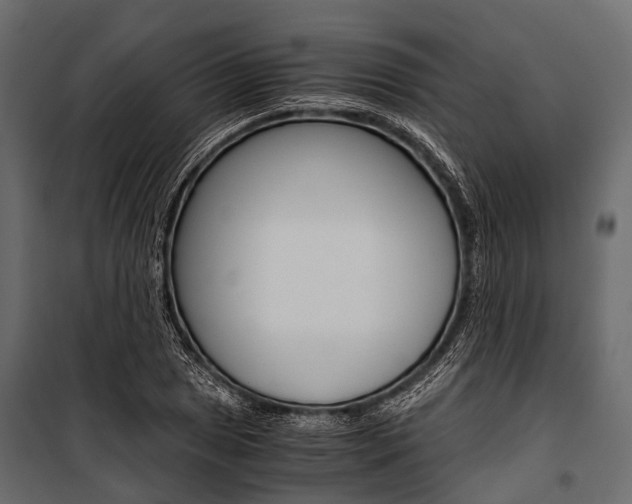 X0000100931025200806241132