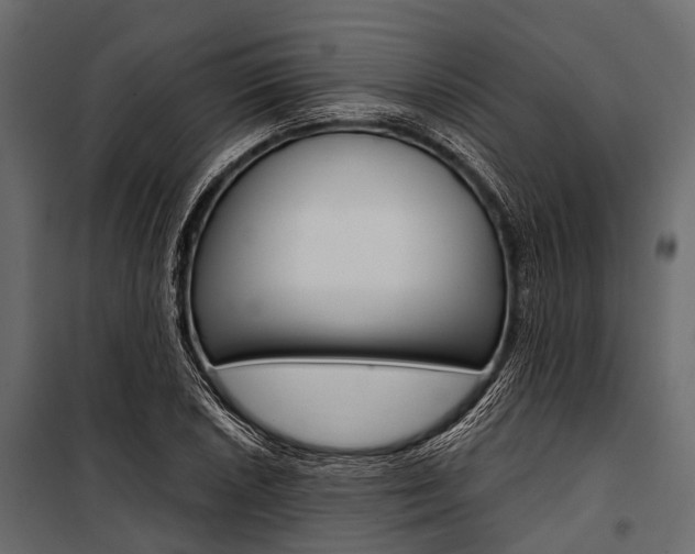 X0000100931026200806241132