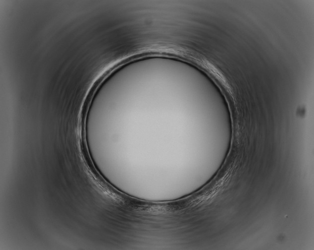 X0000100931028200806241132