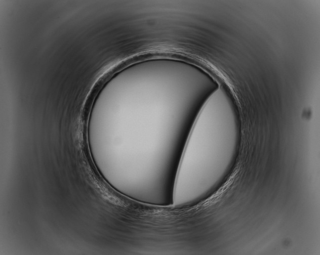 X0000100931029200806241132