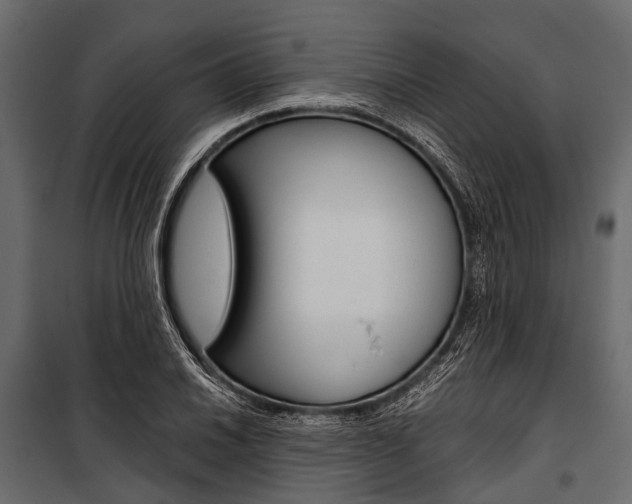 X0000100931030200806241132