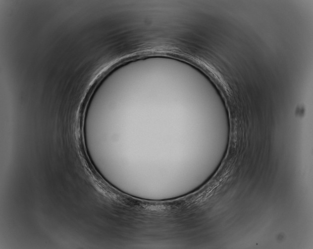 X0000100931031200806241132