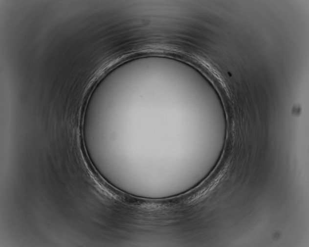 X0000100931033200806241132