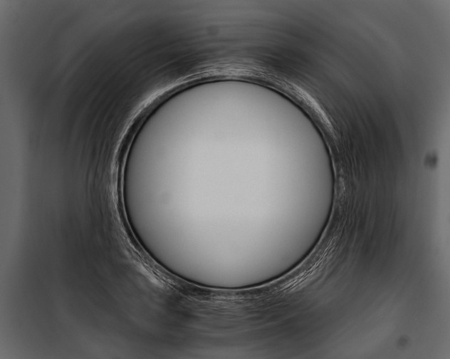 X0000100931035200806241132