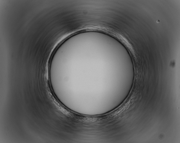 X0000100931036200806241132