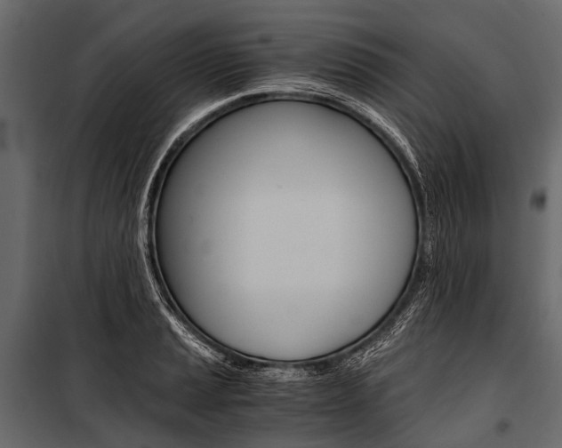 X0000100931037200806241132