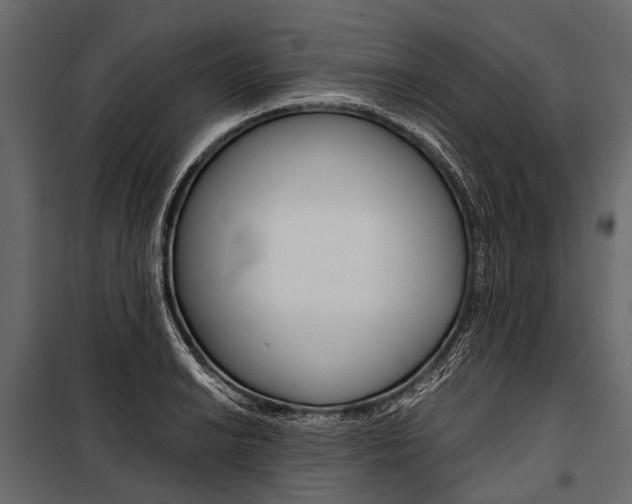 X0000100931038200806241132