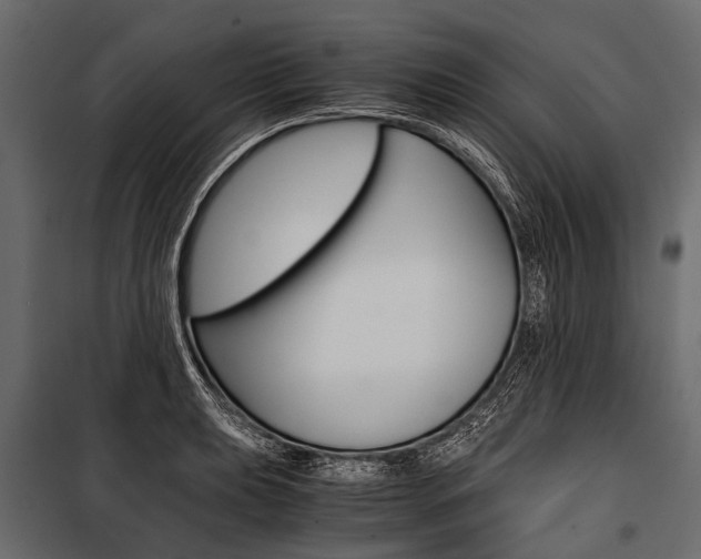 X0000100931039200806241132