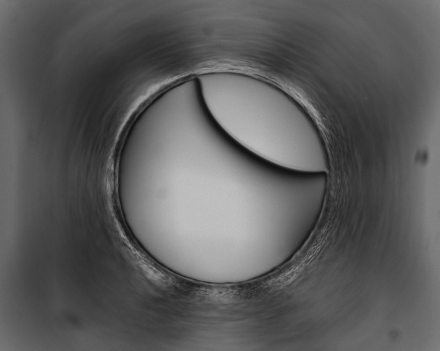 X0000100931040200806241132