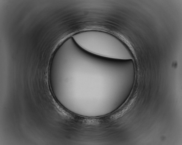 X0000100931041200806241132