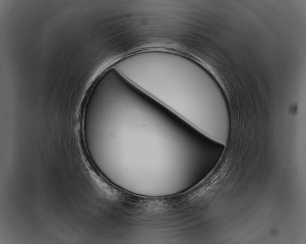 X0000100931042200806241132