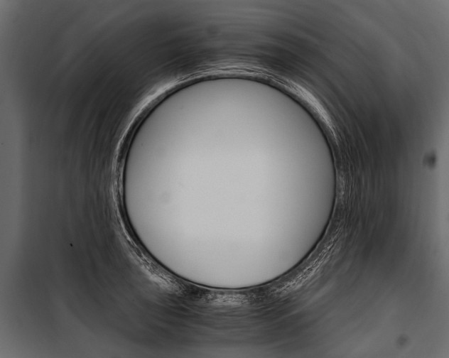 X0000100931043200806241132