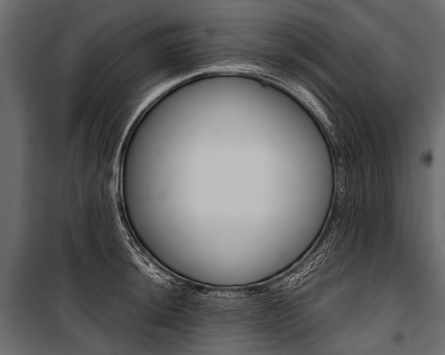 X0000100931044200806241132