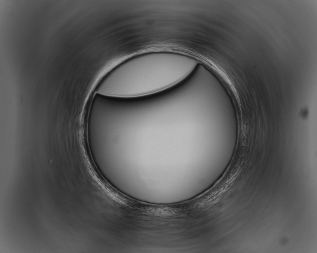 X0000100931045200806241133