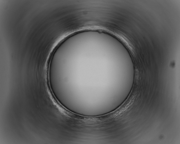 X0000100931046200806241133