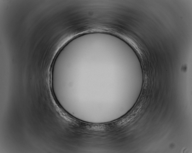 X0000100931047200806241133