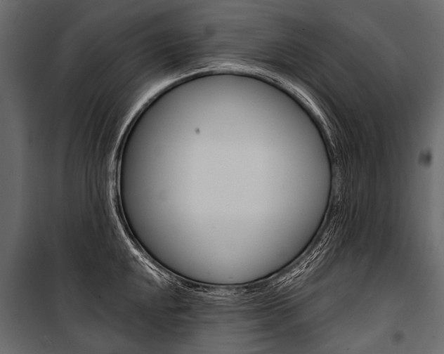 X0000100931048200806241133