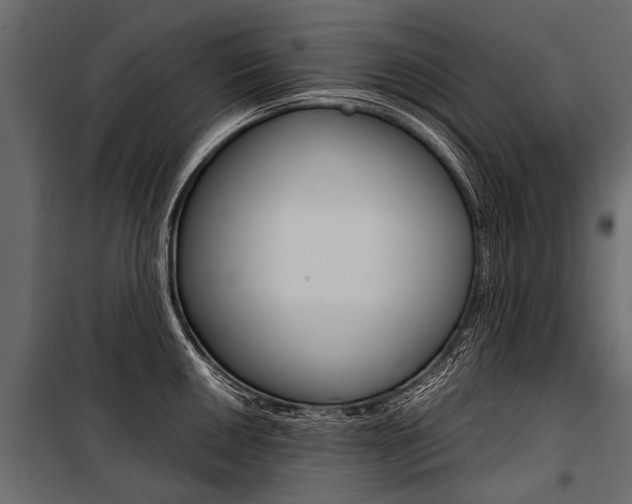 X0000100931050200806241133