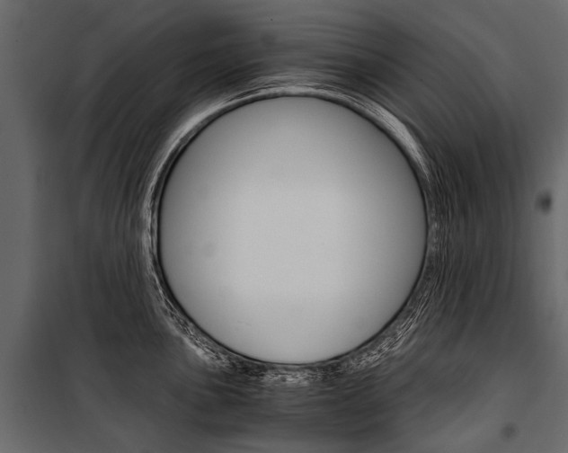 X0000100931051200806241133