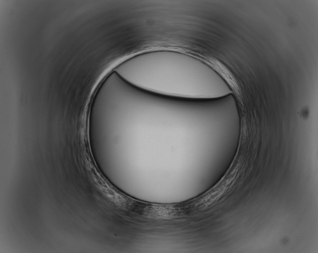 X0000100931052200806241133