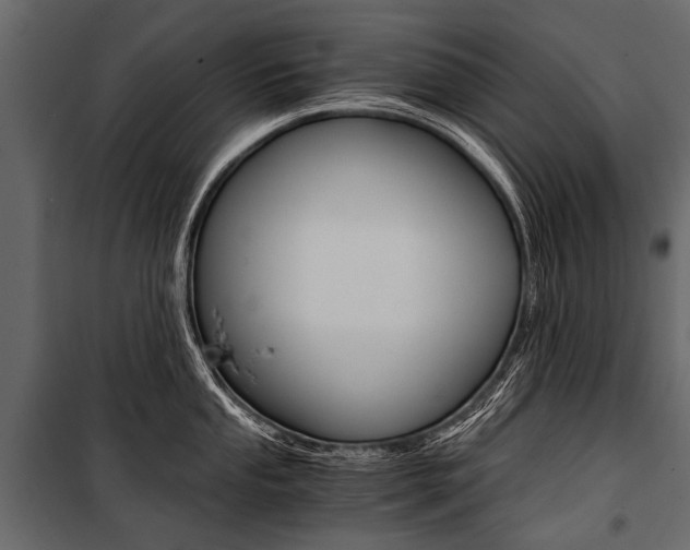 X0000100931053200806241133