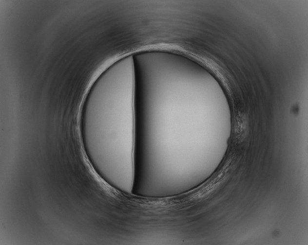 X0000100931054200806241133