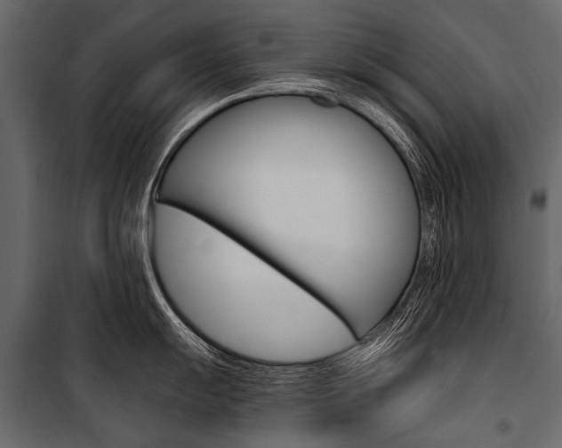 X0000100931055200806241133