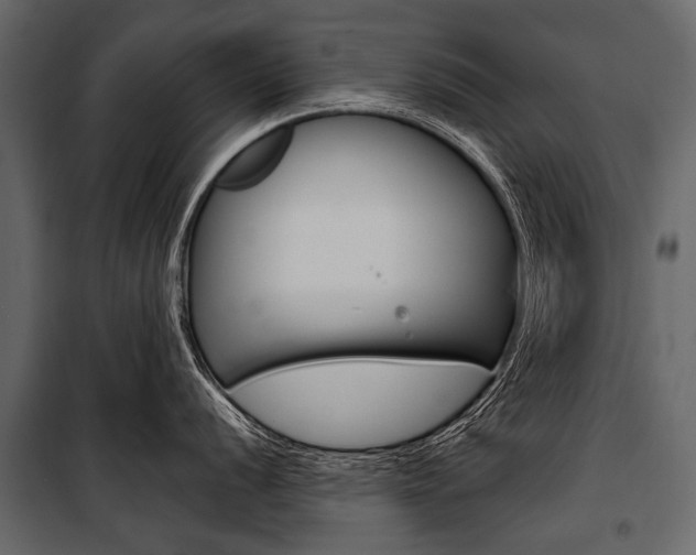 X0000100931056200806241133