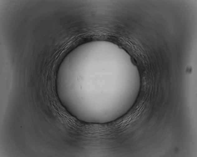 X0000100931057200806241132