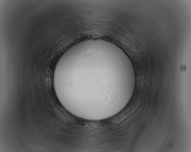 X0000100931058200806241132