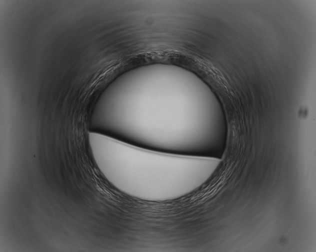 X0000100931060200806241132