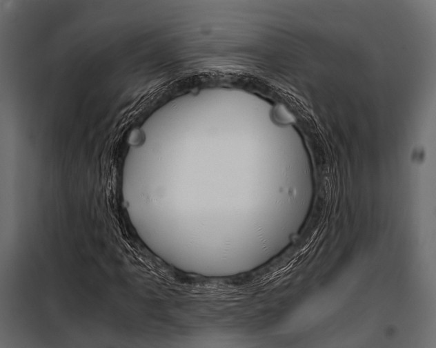 X0000100931061200806241132