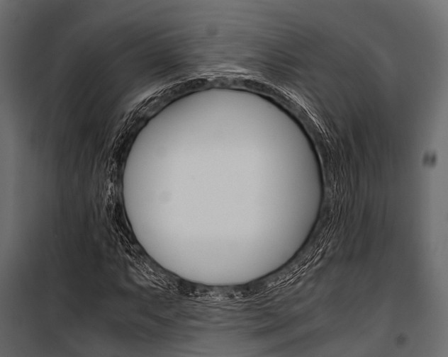 X0000100931063200806241132