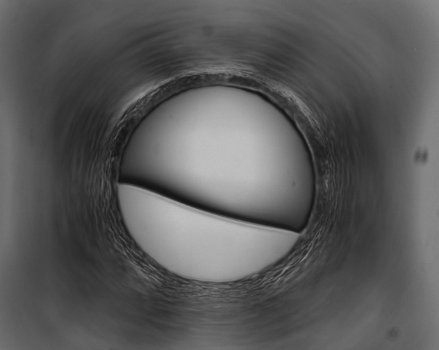 X0000100931064200806241132