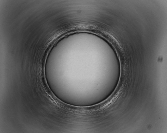 X0000100931065200806241132