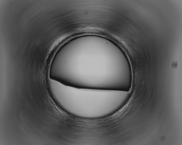 X0000100931066200806241132