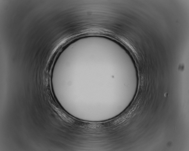 X0000100931067200806241132